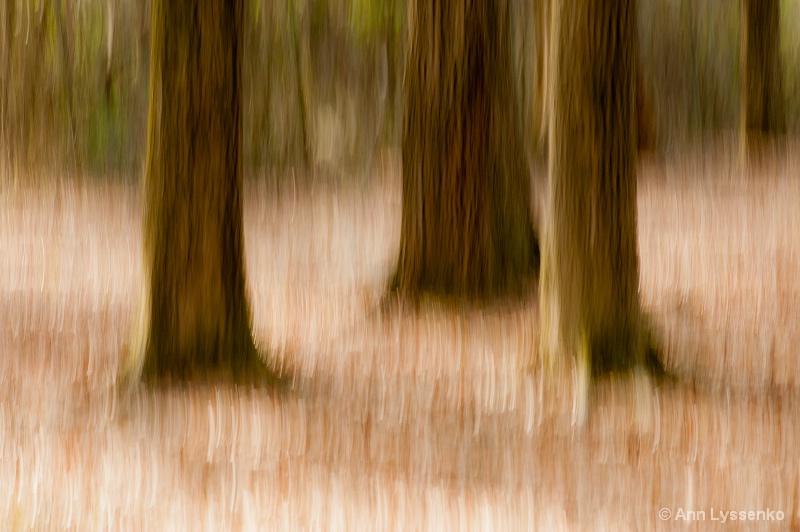 img7