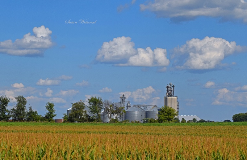 Wisconsin Farm Land