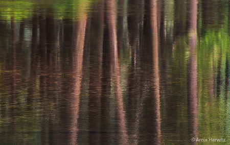 Reflections in Brown and Green