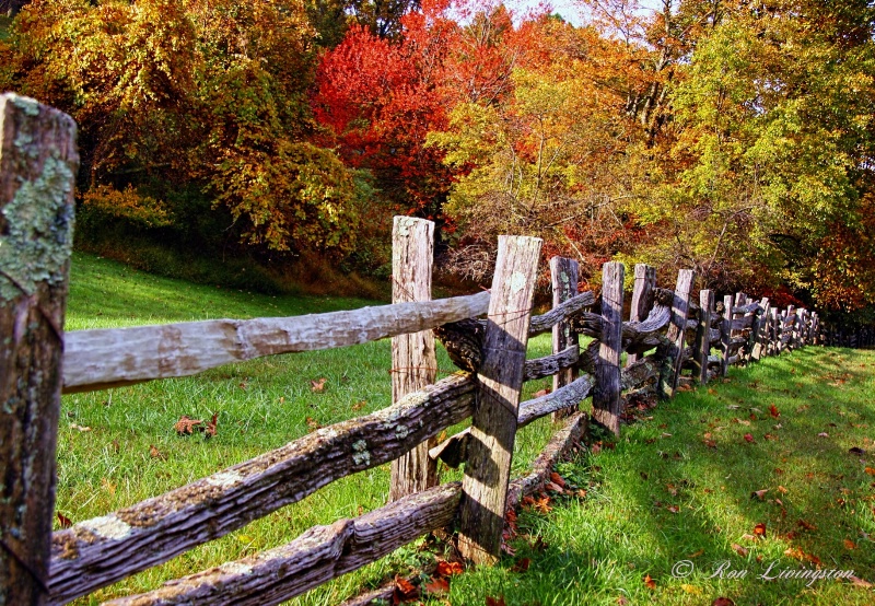 Autumn Fence Line
