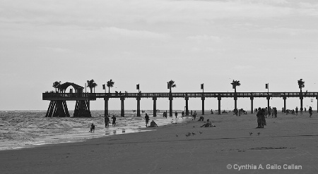 Day at the Beach