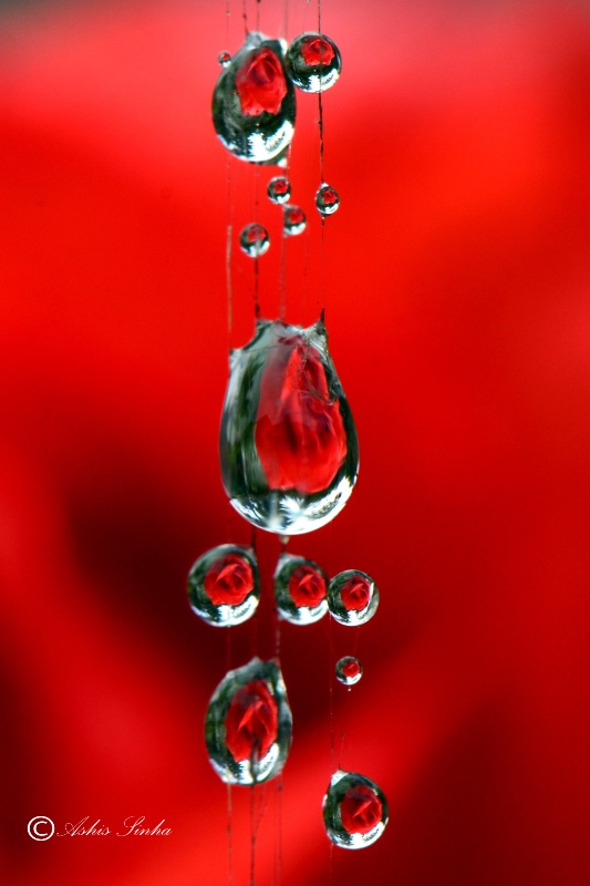 Water droplets