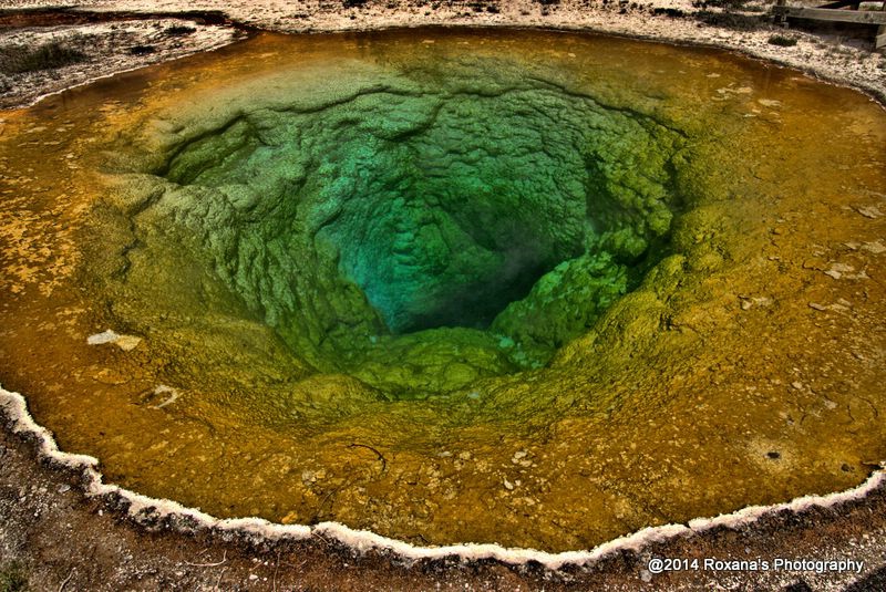 Morning Glory Pool