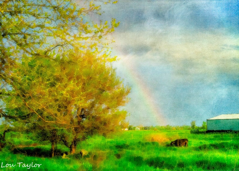 Pasture after the Storm