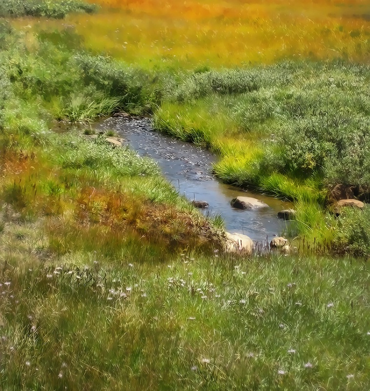 Meadow Stream