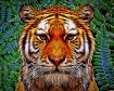 Fearful Symmetry