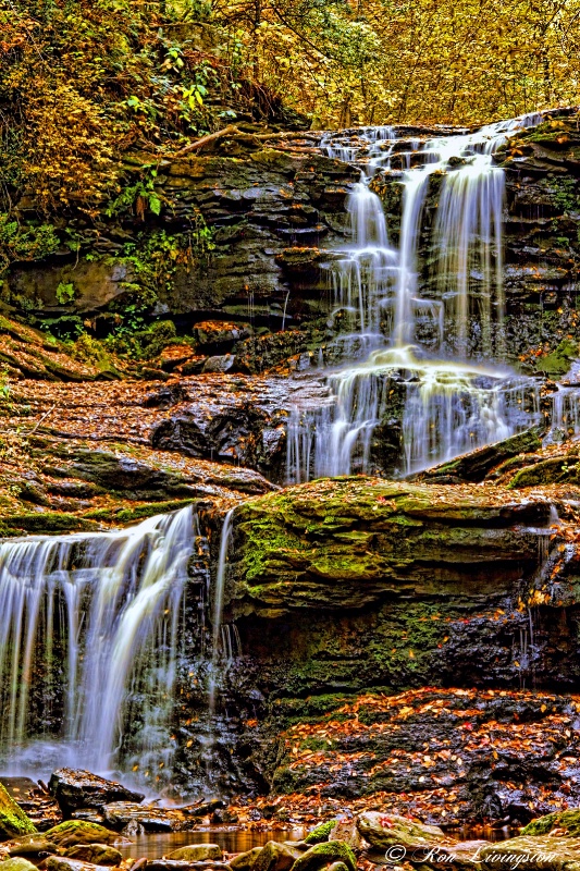 Ricketts Glen Hike