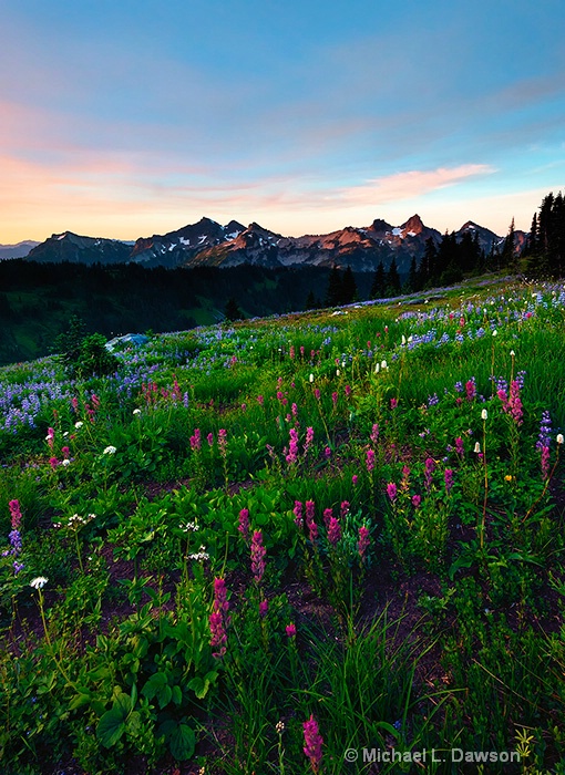 Paintbrush Sunrise