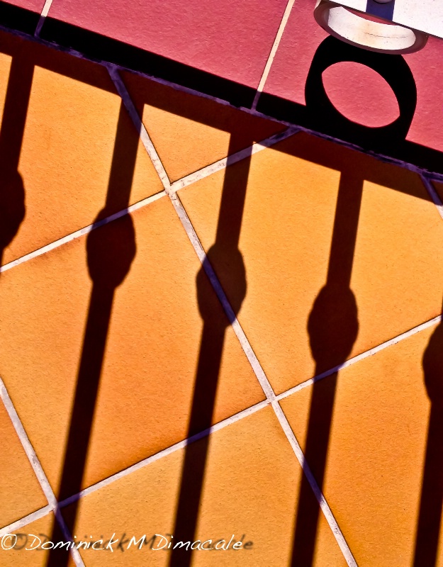 ~ ~ SHADOWS OF THE FENCE ~ ~