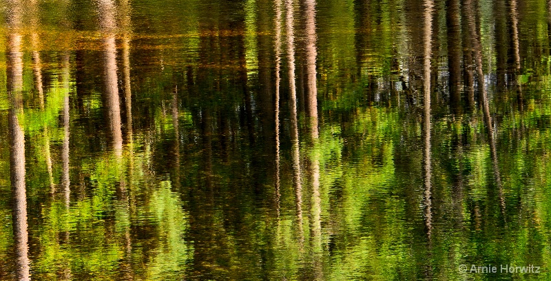 Reflections in Brown and Green - II