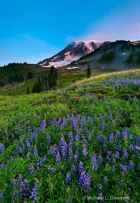 Light on the Mountain