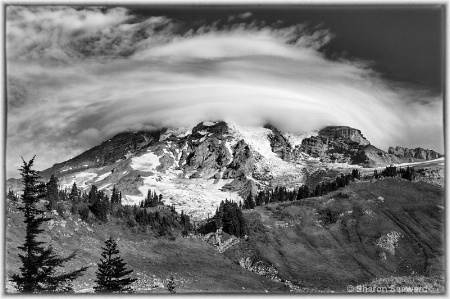 Lenticular Cloud over Mt Rainier