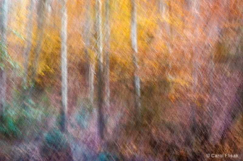 Impressions of a New Hampshire Fall - ID: 14662139 © Carol Flisak