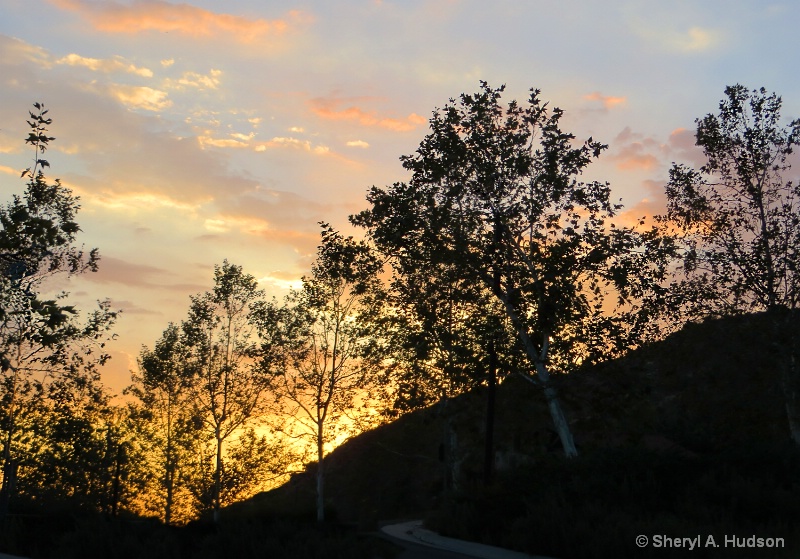 Sunset in a City Wilderness Park - ID: 14663501 © Sheryl A. Hudson