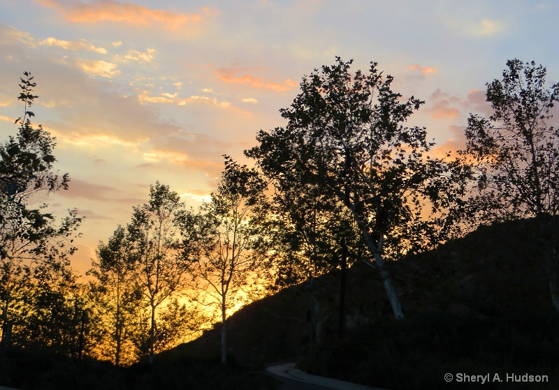 Sunset in a City Wilderness Park