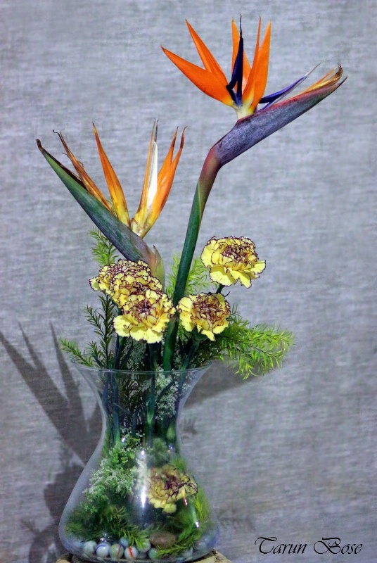 Flower arrangement.