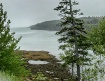 Coastal Maine II