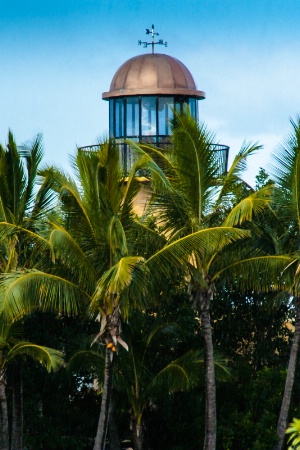 Lighthouse Behind The Palm Trees