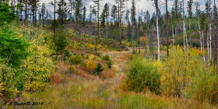 A Fall Hike