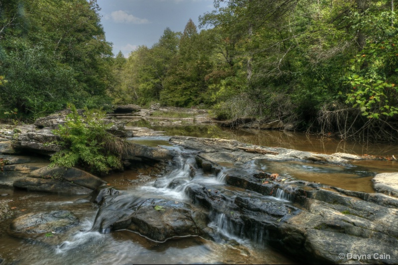 Jellico Creek