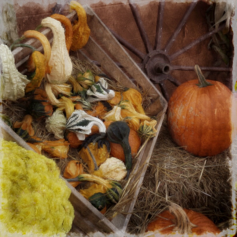 Autumn Treasures