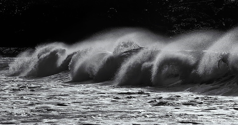 North Shore Spindrift