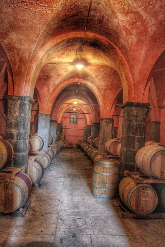 Wine Cellar, Tuscany