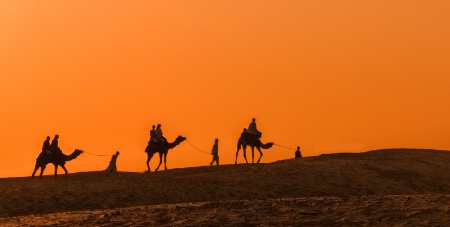 Camel Riders at sunset