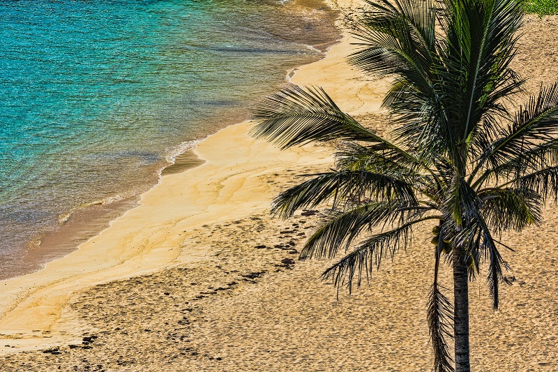 Empty Beach, Bermuda