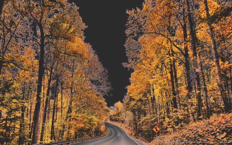  Autumn Drive 2