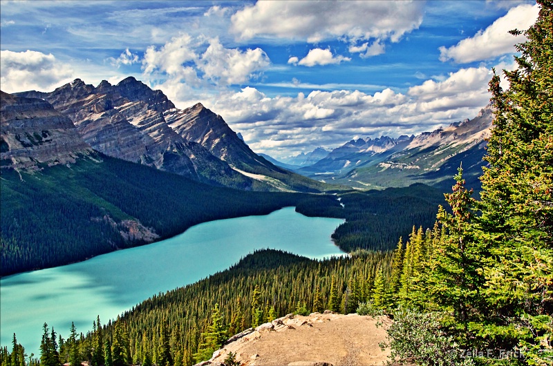 Eagle View of Peyto Lake - ID: 14672604 © Zelia F. Frick