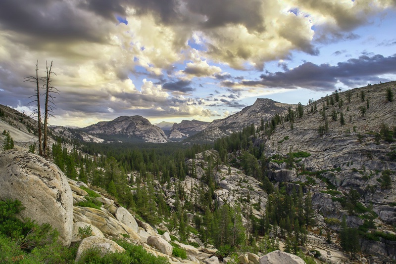 Yosemite Morning