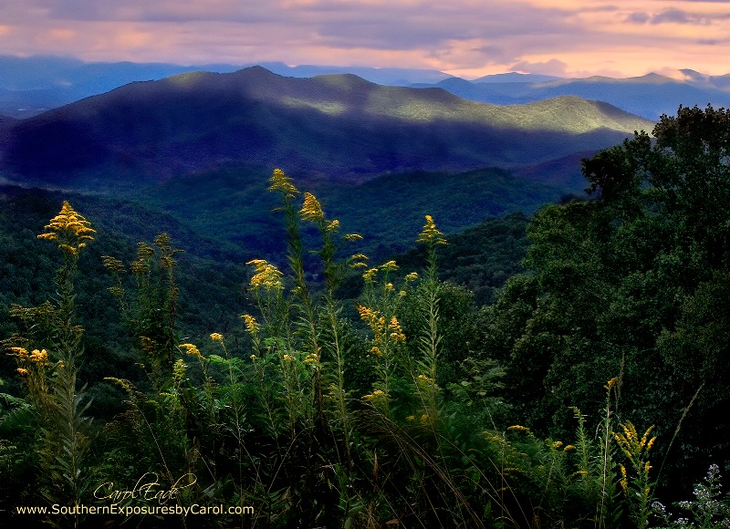Evening in the Smoky Mountains - ID: 14673418 © Carol Eade