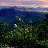 2Evening in the Smoky Mountains - ID: 14673418 © Carol Eade