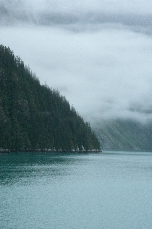 The Fog of Tracy Arm Fjord