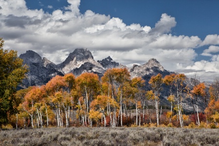 Tetons 9391