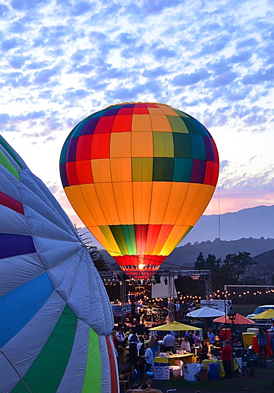 Festival Shot - ID: 14674066 © John W. Davis