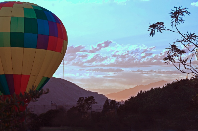 Balloon with Branches - ID: 14674077 © John W. Davis