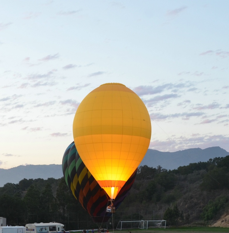 Lemon Glo - ID: 14674089 © John W. Davis