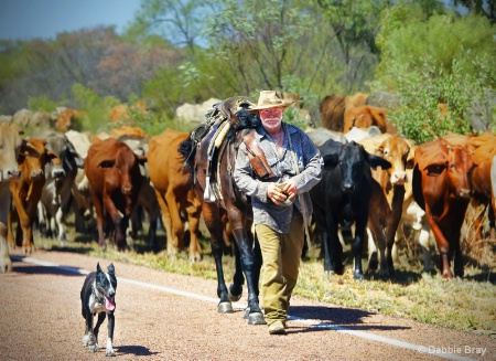 Australian stockman