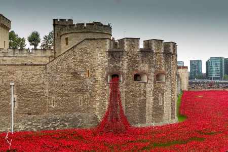 POPPIES at the LONDON TOWER