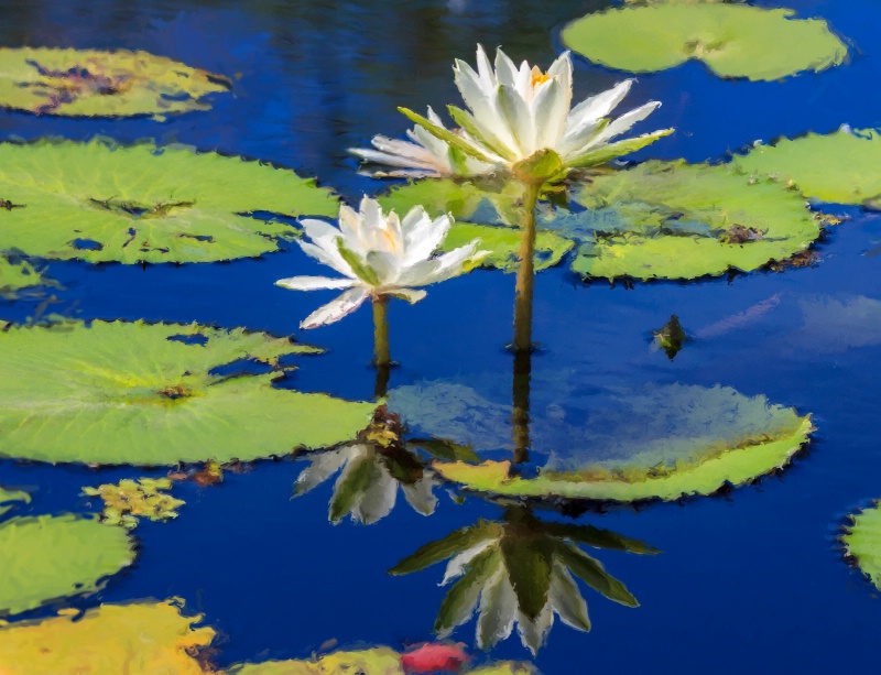 painted lillies