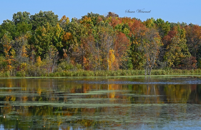 Early Fall Reflections