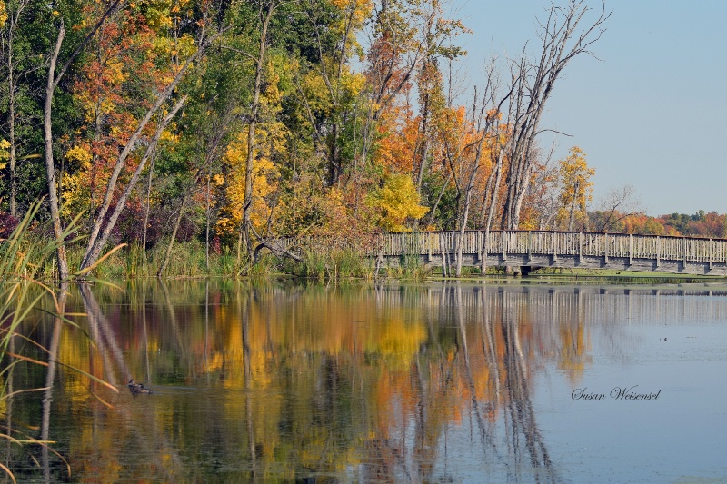 Foot Bridge