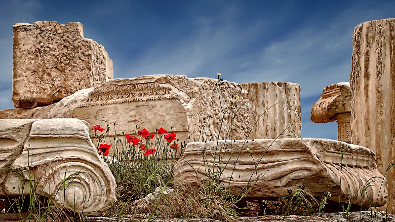 Among the Ruins