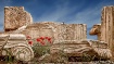 Among the Ruins