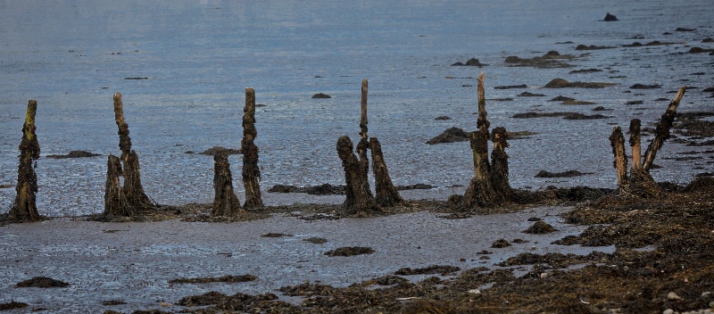 Low tide on Moray Firth