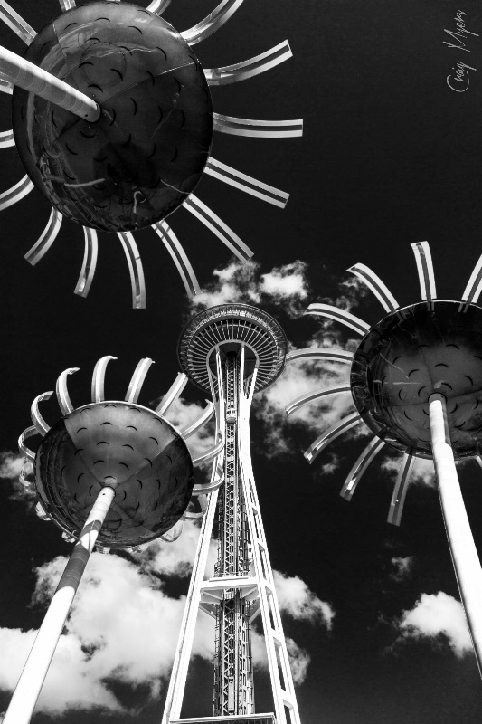 Sonic Blooms, Space Needle