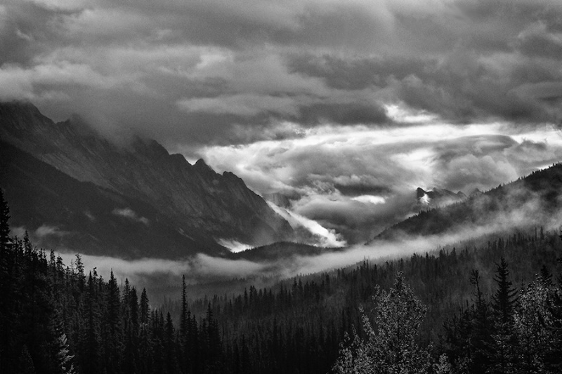Mountain Mists