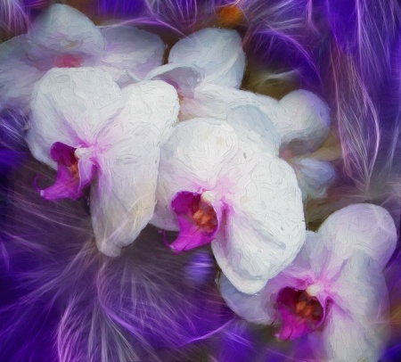 Orchid Art